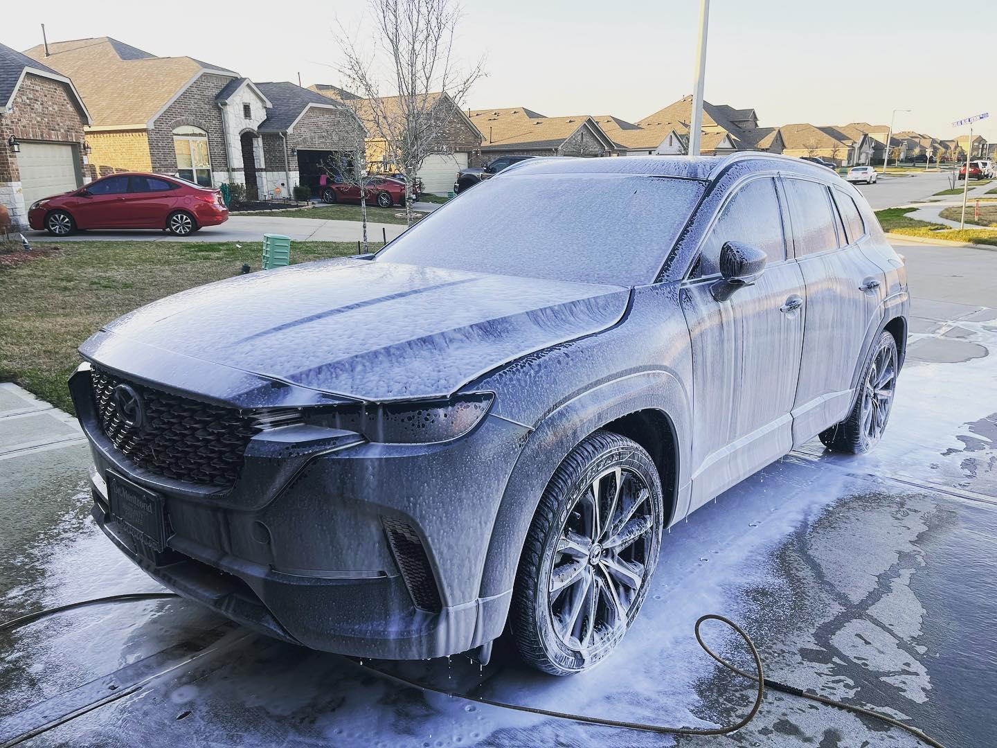 Before detailing